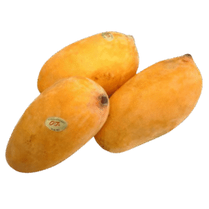 Sindhri Mango