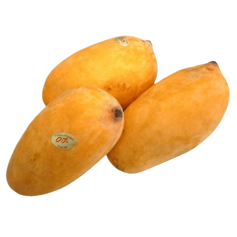 Sindhri Mango