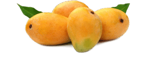 Chaunsa Mango