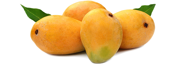 Chaunsa Mango